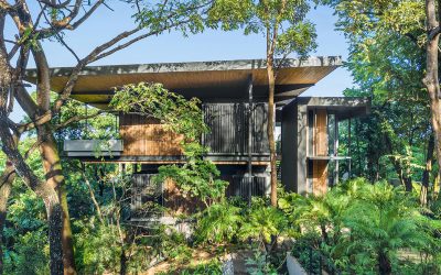 Le Kébony, un bois très durable