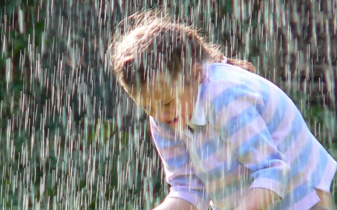 Récupérer l’eau de pluie&nbsp;: vers l’autonomie