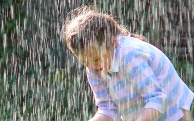 Récupérer l’eau de pluie : vers l’autonomie
