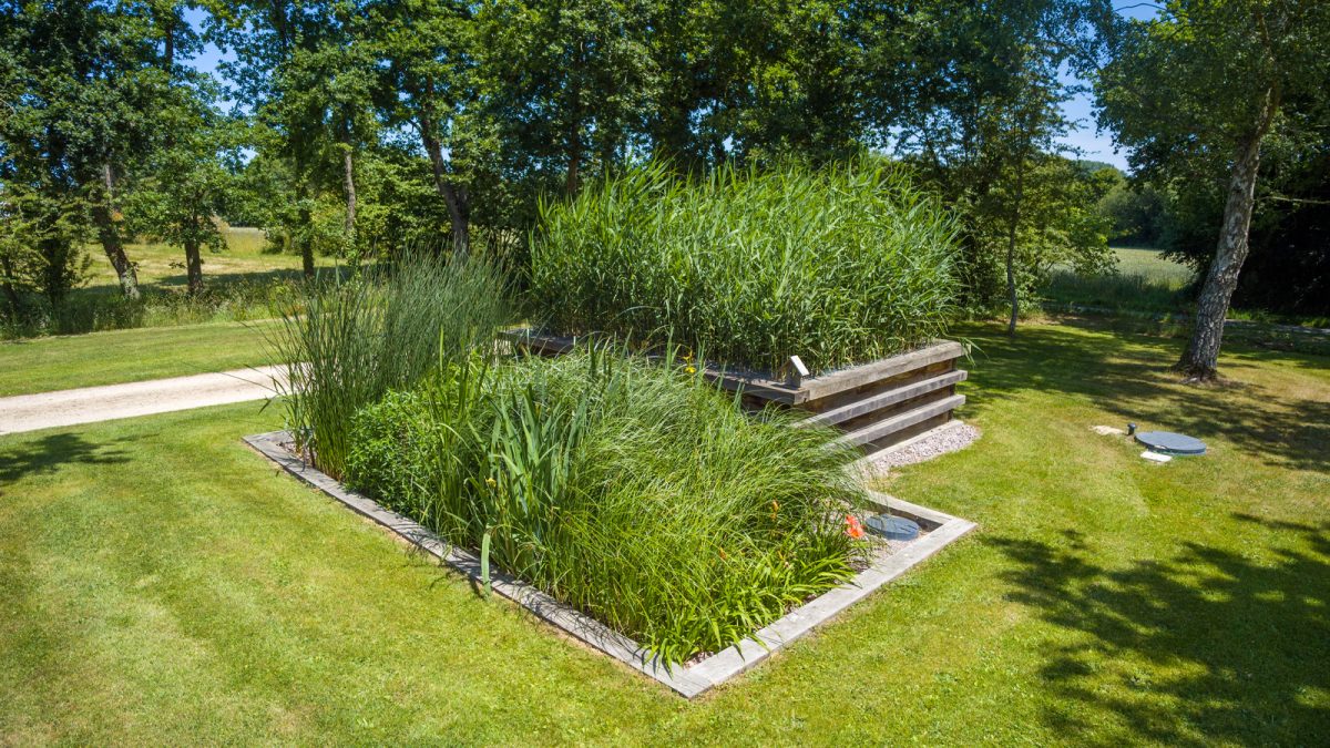 Avec les phytoépurations Iris, Roseaux et le dernier né, Carex, Aquatiris s’adapte à toutes les configurations de terrain, selon la capacité d’infiltration de la terre, la pente naturelle et l’espace disponible.