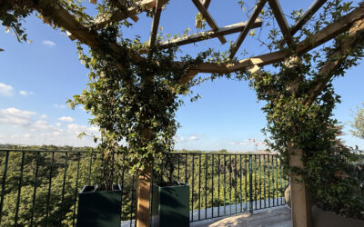 Terrasse et Jardin de Paris