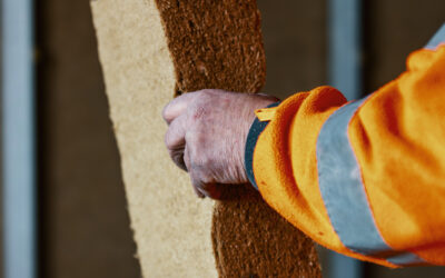 FIBOO plante du bambou