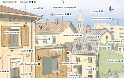 Habitat et biodiversité